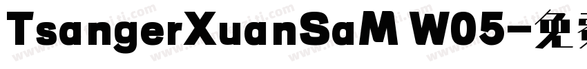 TsangerXuanSaM W05字体转换